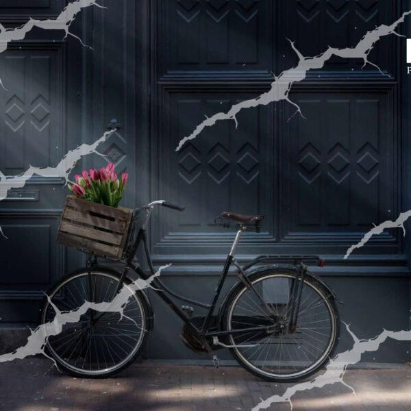 Baby Backdrop - BAB -910