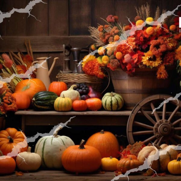 Baby Backdrop - BAB - 263