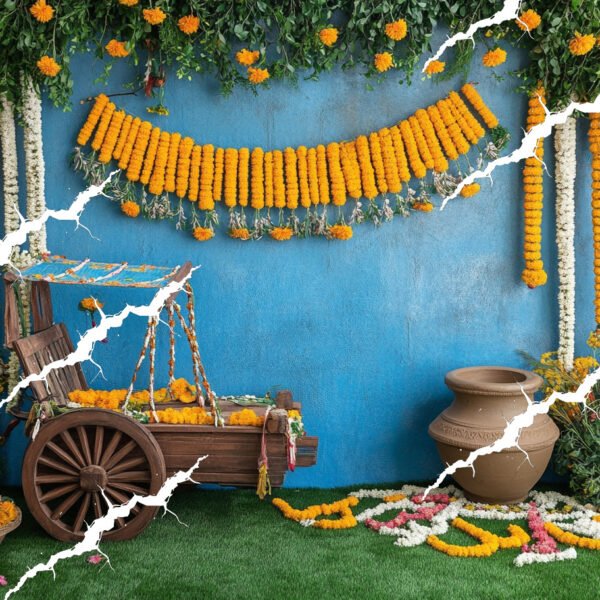 Baby Backdrop - NC - 477